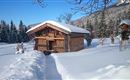 Scheffau_Bärnstatt_Winter_WilderKaiser