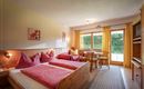 Wohnschlafzimmer Apartment Wilder Kaiser Blick