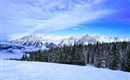 Eine winterliche Landschaft mit schneebedeckten Bergen und einem klaren blauen Himmel. Im Vordergrund befinden sich hohe, grüne Nadelbäume.