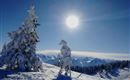 schneereich