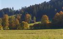 Söll im Herbst 3