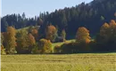 Söll im Herbst 3