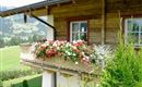Sommer