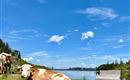 Sommer-Impression