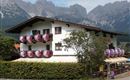 Sommerbilder