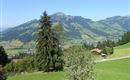 Sommerfoto Appartement Berfried