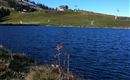 Sommerimpressionen