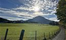 Spazierweg an der Aach 5 min vom Haus