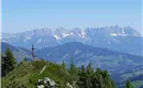 Spießnägel mit Kaisergebirge