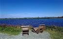 Twee comfortabele ligstoelen staan aan de oever van een rustig water. Het is een zonnige dag met een heldere lucht en groene omgeving.