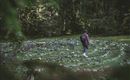Thiersee_Labyrinth_005(c)TVB Kufsteinerland_Philip