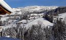 tiefverschneites Winterwunderland