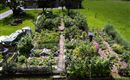 Überblick Garten