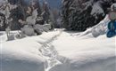 A snowy path through a wintry forest. Tall fir trees surround the groomed snowy landscape.