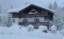 A cozy house in the snow, surrounded by wintry trees. The entire area is decorated with a snow-covered landscape.