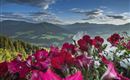 Unsere Aussicht...