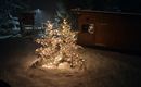 Ein schneebedeckter Garten mit zwei beleuchteten Tannenbäumen in der Dunkelheit. Im Hintergrund ist eine Holzhütte sichtbar.