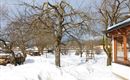 verschneiter Garten