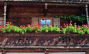 Villa-Ritsch-Gudrun-header