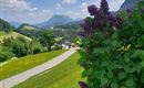 Aussicht Villa Werlberger - Hinterthiersee / Kufsteinerland