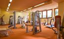 Vivea Gesundheitshotel Bad Häring Fittnessstudio 1