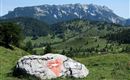 Wandern