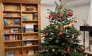 Ein festlich geschmückter Weihnachtsbaum steht in einem gemütlichen Raum. Im Hintergrund sieht man ein Bücherregal.