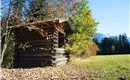 Westendorf im Herbst_Kitzbüheler Alpen01