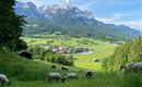 Een schilderachtig landschap met groene weiden en koeien. Op de achtergrond zijn majestueuze bergen en een klein dorp te zien.