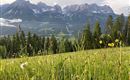 Wilder Kaiser View