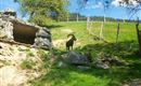 Wildpark Aurach