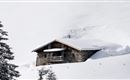 winer-alm-im-schnee-kitzbueheler-alpen