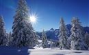Winter  (4)