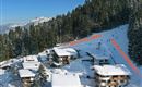 A picturesque winter landscape with snow-covered huts and tall fir trees. In the background, the mountains are visible, and on the side, there is a signpost to Ellmau.