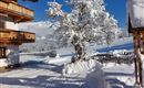 A winter snowy landscape with a snow-covered tree and a beautiful wooden house. The sky is clear and blue.