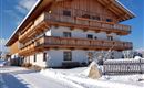 A wooden house in the snow with several balconies. In front of the house, a dog is walking on the snow-covered path.