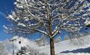 Winter im Brixental
