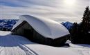 Winter-Impression