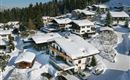A picturesque mountain landscape with snow-covered houses and trees. The area is calm and idyllic.