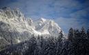 A snowy mountain landscape with high, snow-covered peaks. Dense, green coniferous trees line the foreground.