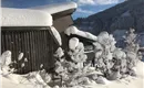 Winter2019