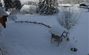 Winterfoto