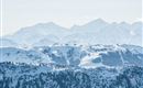 Winterfoto aus Bilderdatenbank