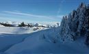 Winterlandschaft-4