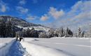Winterlandschaft