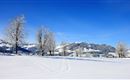 Winterlandschaft allgemein_Kitzbüheler Alpen_Steph