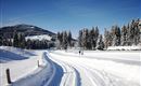 Winterlandschaft allgemein_Kitzbüheler Alpen_Steph