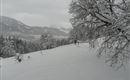 A snowy landscape with trees and white slopes. The sky is overcast and the mountains are visible in the distance.