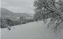 Winterlandschaft vor der Haustür