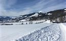 Winterwanderweg
